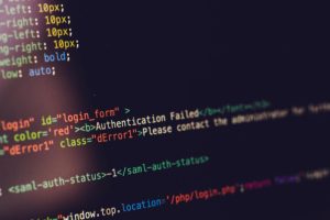 custom web development service